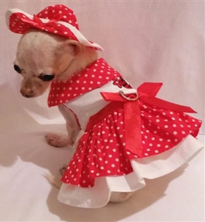 Platinum Puppy Couture - Little Lady 4-pc Harness Dress Set - This little red and white polka dot harness dress set is just precious!!  The top of the dress is embellished with a beautiful embroidered lady bug and flowers.  The skirt has a double ruffle design for extra fullness.  It has an added D-ring for easy leash access.  It comes with flip-front style matching hat and leash.  It also comes with a darling pair of matching panties.  These are great to use if your pet is in season or just as part of the outfit.  It also looks darling on those dogs with a slightly longer body (if dresses are usually too short).