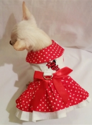 Platinum Puppy Couture - Little Lady 4-pc Harness Dress Set - This little red and white polka dot harness dress set is just precious!!  The top of the dress is embellished with a beautiful embroidered lady bug and flowers.  The skirt has a double ruffle design for extra fullness.  It has an added D-ring for easy leash access.  It comes with flip-front style matching hat and leash.  It also comes with a darling pair of matching panties.  These are great to use if your pet is in season or just as part of the outfit.  It also looks darling on those dogs with a slightly longer body (if dresses are usually too short).