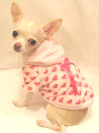 Platinum Puppy Couture - Little Lover Hoodie with D-ring - Cute and casual, this cozy dog hoodie is made with a light weight pink & fuchsia minky fabric.  The entire inside of the shirt is lined with pink cotton fabric.  It has a snap front closure.  It also has an added D-ring with ribbon detail for easy leash access.
