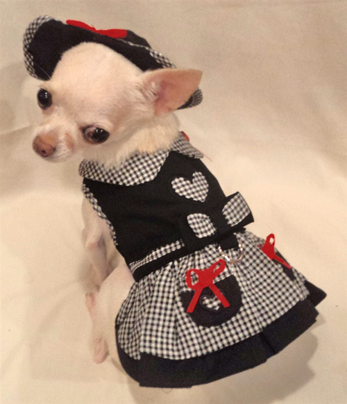 Platinum Puppy Couture - My Heart 4-pc Harness Dress Set - This smart and stylish harness dress is black, with contrasting black and white gingham print collar, over-skirt, and trim.  The bodice and pockets have heart-shaped cut-outs to show off the gingham print.  Red bow accents add a splash of color.