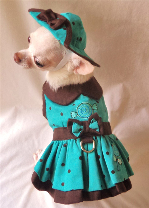 Platinum Puppy Couture - Simply Sweet 4-pc Harness Dress Set (Dress, Hat, Panties, Leash).  This dress is cute as well as unique and classically styled. It is made in a refreshing aqua blue and chocolate brown polka dot fabric. It has a contrasting chocolate brown collar, belt, and under ruffle. There is a sweet piece of candy embroidered on the bodice of the dress, and lollypop embellishment embroidered on the skirt.