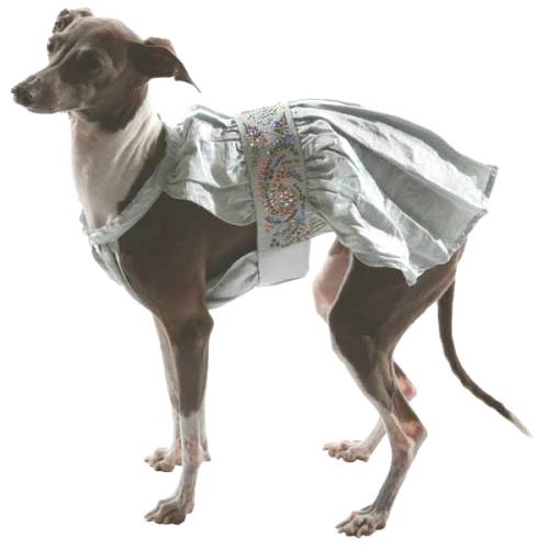 Dog In The Closet - 100% Silk dress with Swarovski rhinestones.  All silk dresses are hand washable.