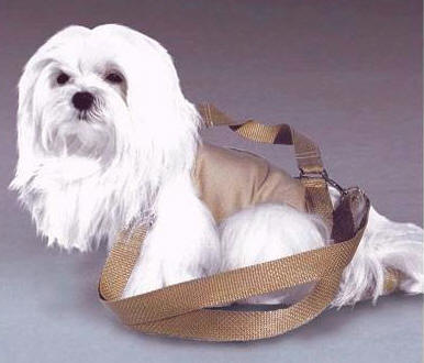 Puppy Purse Pet Carrier System - Coco Chienelle - Veterinarian Approved
